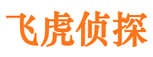 西畴侦探公司